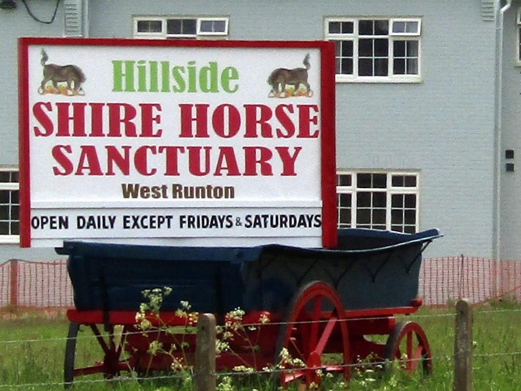 Hillside Horse Sanctuary West Runton @NorfolkCoastline